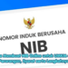 Cara Membuat NIB Online untuk UMKM dan Perorangan, Syarat serta Langkahnya