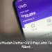 Tips Mudah Daftar OVO PayLater Tanpa Ribet