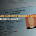 Cara Cek Data Dukcapil Online Secara Mandiri Lewat HP