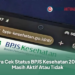 Cara Cek Status BPJS Kesehatan 2026: Masih Aktif Atau Tidak