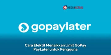 Cara Efektif Menaikkan Limit GoPay PayLater untuk Pengguna