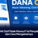 DANA Cicil Tidak Muncul? Ini Penyebab dan Cara Mengatasinya
