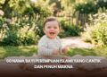 60 Nama Bayi Perempuan Islami yang Cantik dan Penuh Makna