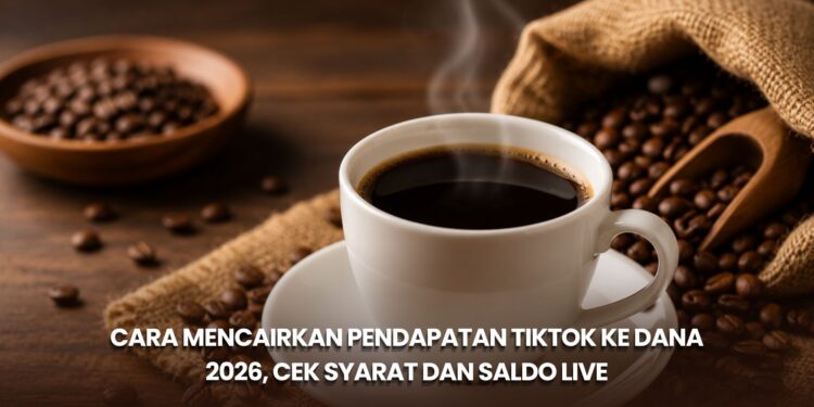 Cara Mencairkan Pendapatan TikTok ke DANA 2026, Cek Syarat dan Saldo LIVE