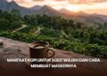 Manfaat Kopi untuk Kulit Wajah dan Cara Membuat Maskernya