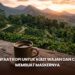 Manfaat Kopi untuk Kulit Wajah dan Cara Membuat Maskernya